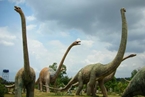 dino-145 dino-145