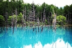 Blue Pond